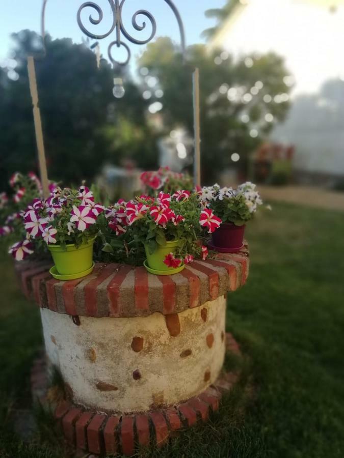 הוילה San Andrés del Rabanedo Boleta A 5 Minutos De Leon, Casa Con Jardin מראה חיצוני תמונה